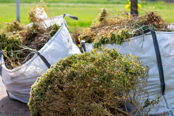 Best Affordable Junk Removal Services  in Oregon, OH